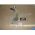 OEM 1959 1960 Cadillac Deville Flat Top LEFT INTERIOR FRONT WINDSHIELD A PILLAR MOLDING #4783861