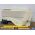 OEM 1971 1972 1973 1974 1975 1976 1977 1978 Cadillac Eldorado HardTop RIGHT PASSENGER SIDE REAR LOWER QUARTER DOOR PANEL TRIM