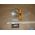 OEM 1974 Cadillac Deville Fleetwood Calais Commercial Chassis LEFT DRIVER SIDE FRONT PARK CORNER LIGHT LENS #912145